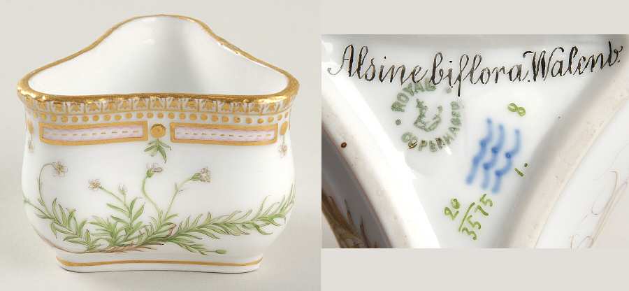 Flora Danica (1790 To 1960) Triangular Custard Cup-Alsine biflora Walenb