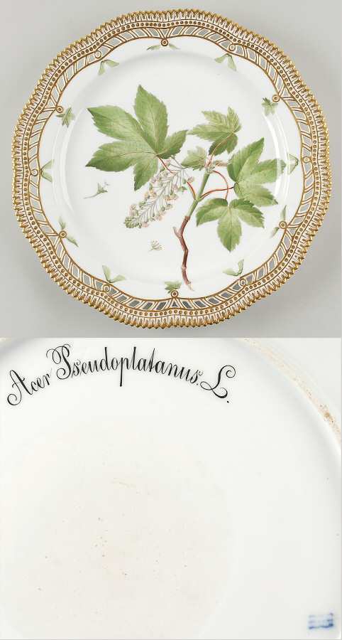 Flora Danica (1790 To 1960) 11" Round Pierced Platter-Acer Pseudoplatanus L