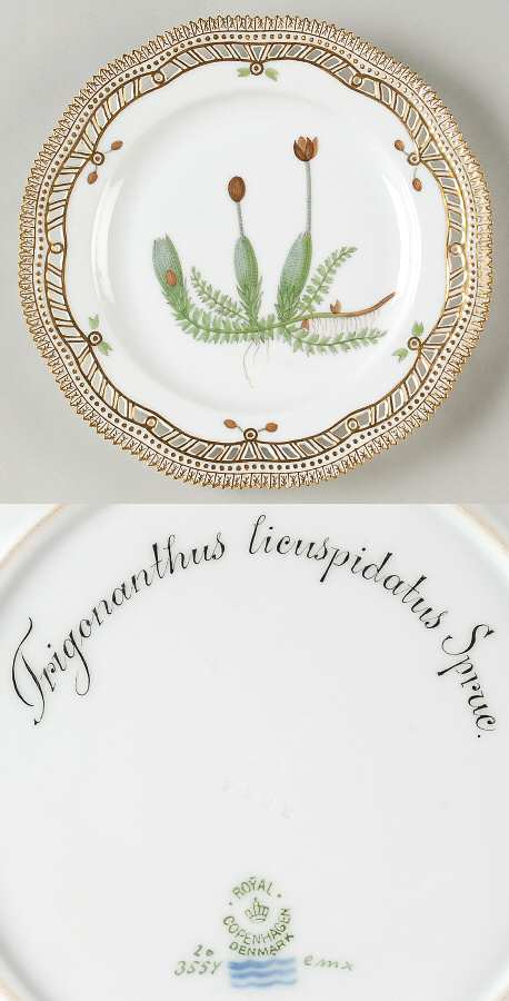 Flora Danica (1790 To 1960) 9" Pierced Luncheon Plate/Fruit Std-Trigonanthus l