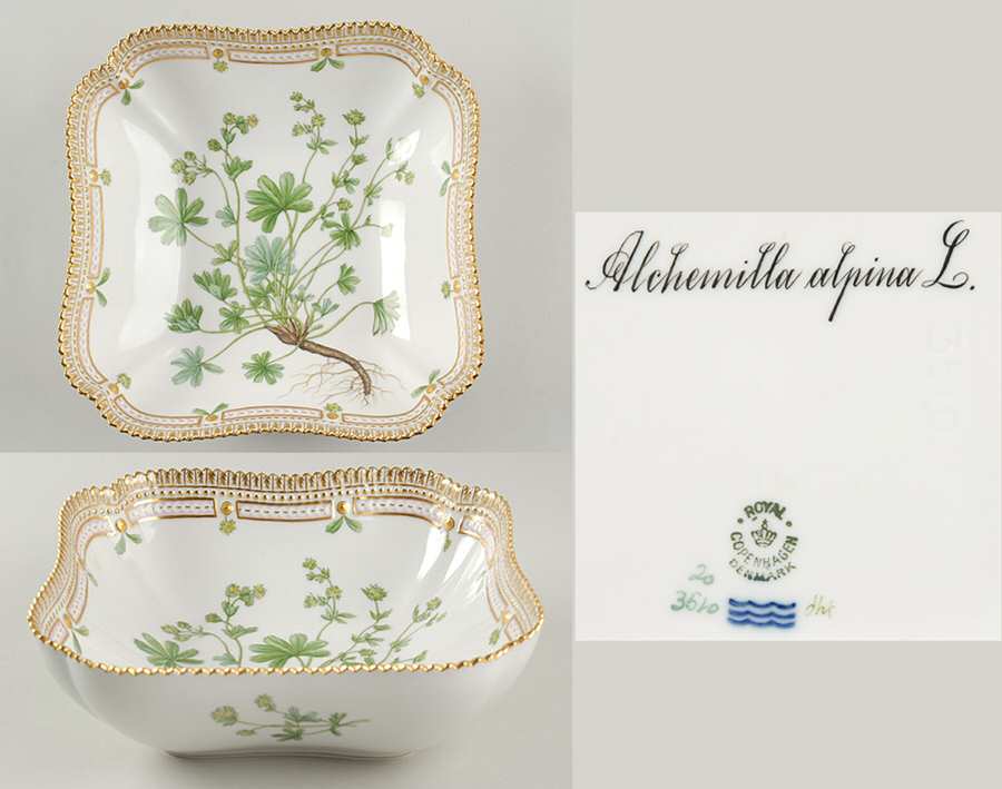 Flora Danica (1790 To 1960) 8" Square Salad Serving Bowl-Alchemilla alpina L.