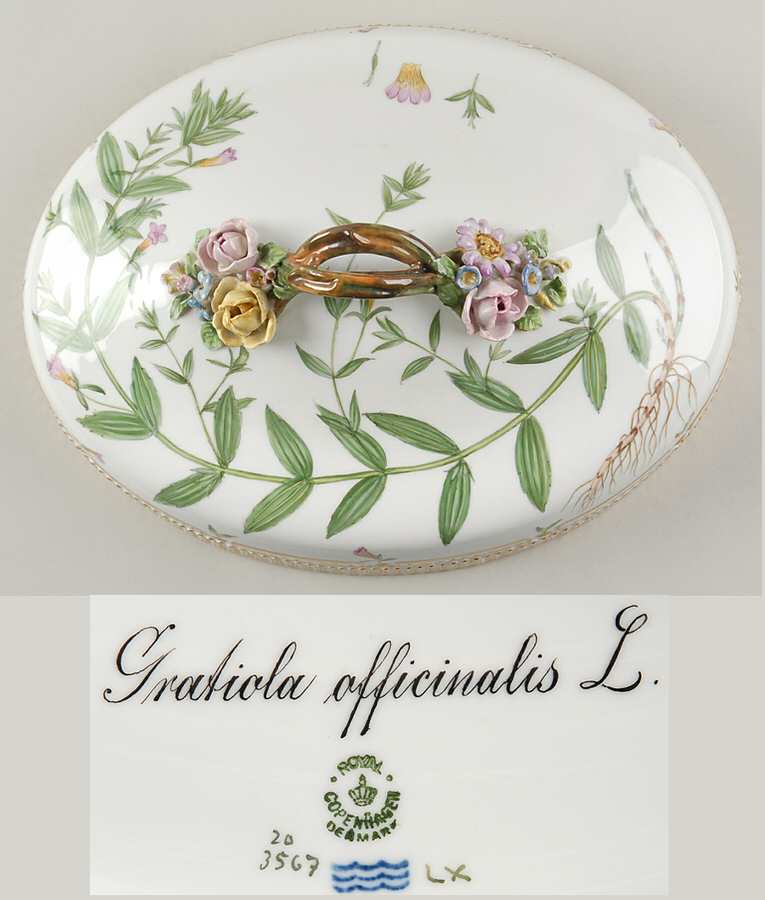 Flora Danica (1790 To 1960) Lid for Oval Vegetable-Gratiola afficinalis L