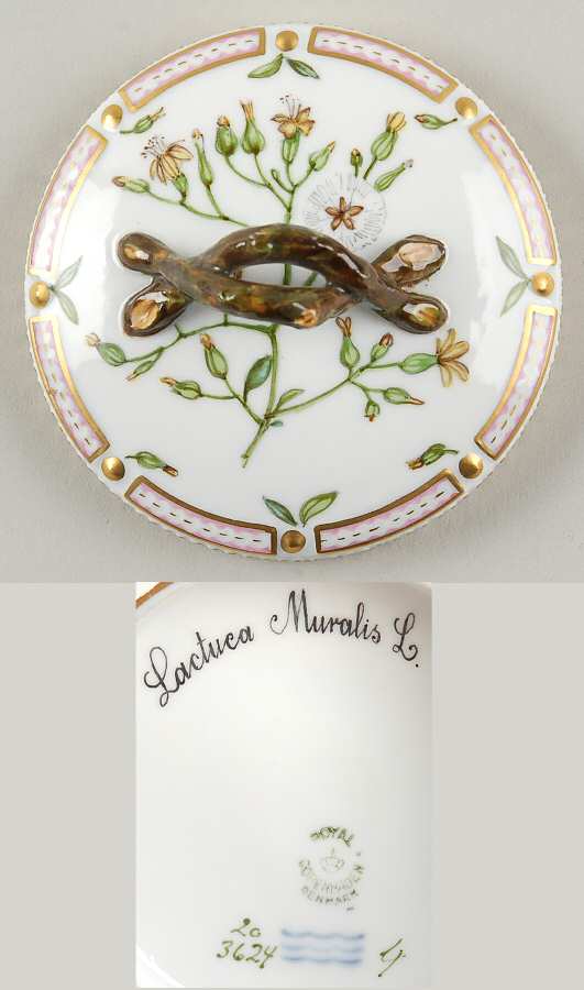 Flora Danica (1790 To 1960) Lid for Small Sugar Bowl-Lactuca Muralis L