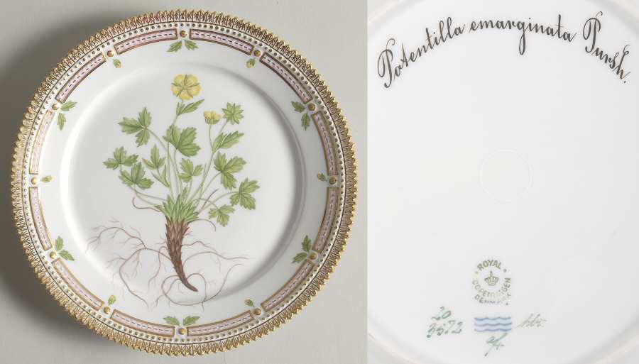 Flora Danica (1790 To 1960) Luncheon Plate-Potentilla emarginata Pursh