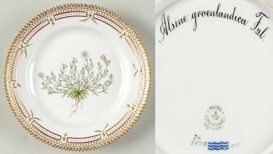 Flora Danica (1790 To 1960) Salad Plate-Alsine groenlandica Fzl