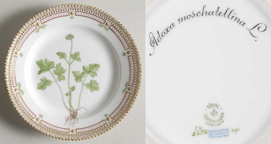 Flora Danica (1790 To 1960) Salad Plate-Adoxa moschatellina L