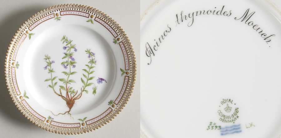Flora Danica (1790 To 1960) Salad Plate-Acinos thymoides Moench