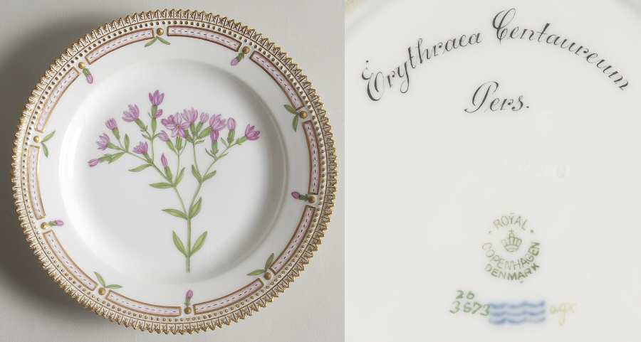 Flora Danica (1790 To 1960) Salad Plate-Erythraea Centaureum Pers