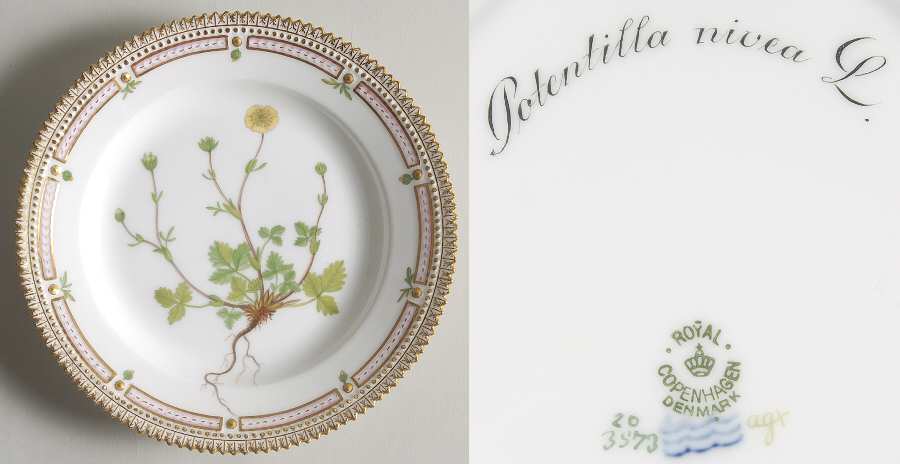 Flora Danica (1790 To 1960) Salad Plate-Potentilla nivea L
