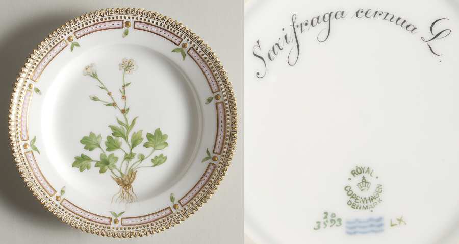 Flora Danica (1790 To 1960) Salad Plate-Saxifraga Cernua L
