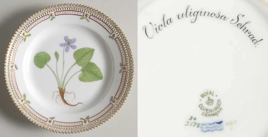 Flora Danica (1790 To 1960) Salad Plate-Viola uliginosa Schrad