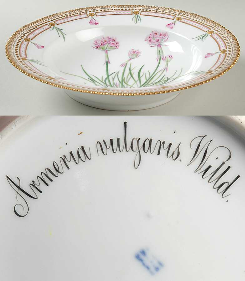 Flora Danica (1790 To 1960) Large Rim Soup Bowl-Armeria vulgaris Willd