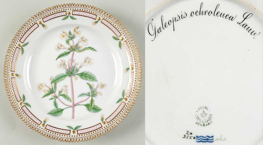Flora Danica (1790 To 1960) Luncheon Plate-Galeopsis ochrolauca Lauv