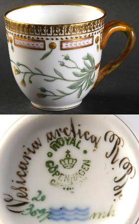 Flora Danica (1790 To 1960) Flat Cup-Vesicaria arctica R Br