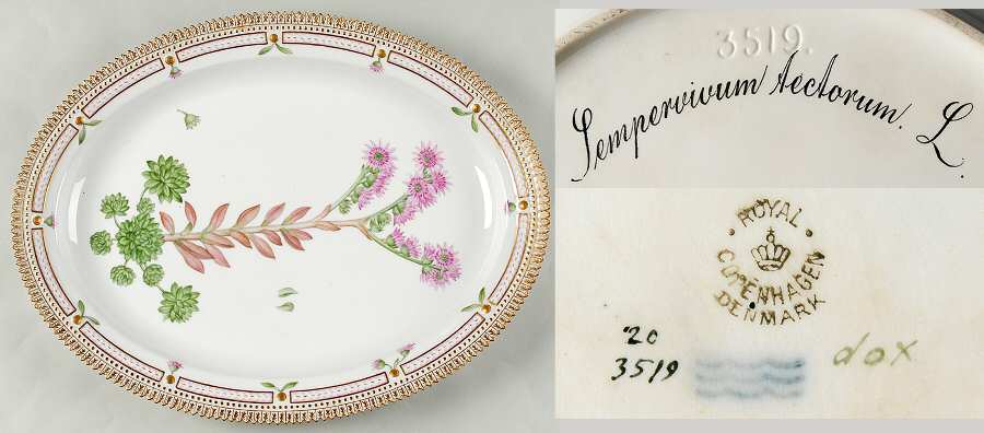 Flora Danica (1790 To 1960) 17" Oval Serving Platter-Sempervivum tectorum L