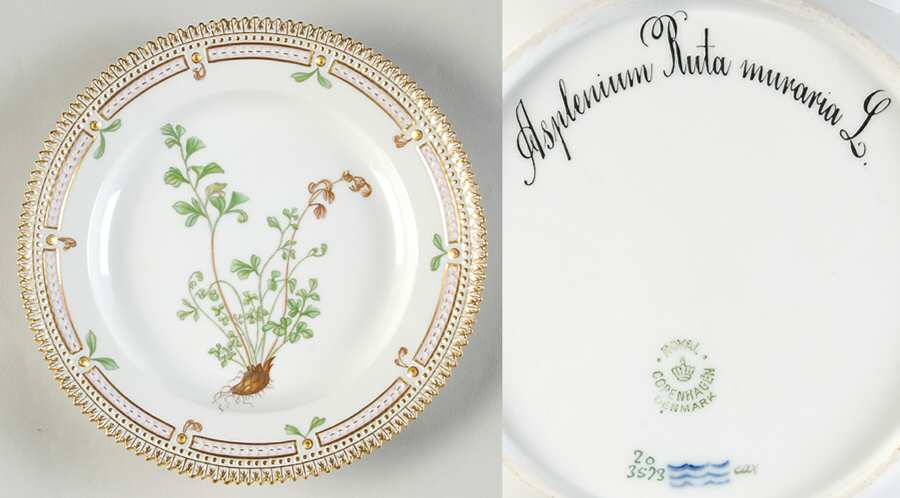 Flora Danica (1790 To 1960) Salad Plate-Asplenium Ruta muraria L