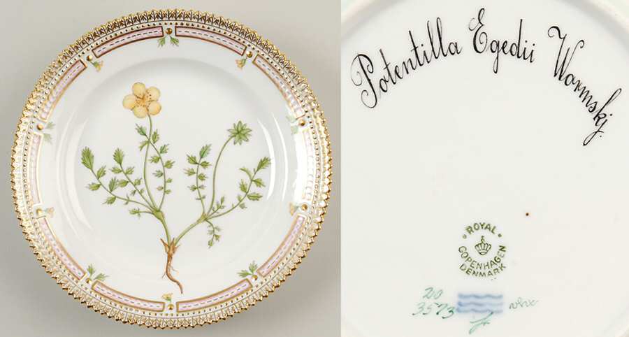 Flora Danica (1790 To 1960) Salad Plate-Potentilla Egedii Wormskj.