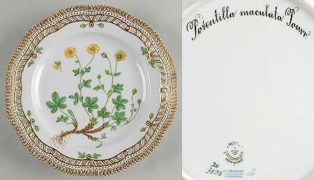 Flora Danica (1790 To 1960) 10" Pierced Dinner Plate/Fruit Std-Potentilla macu