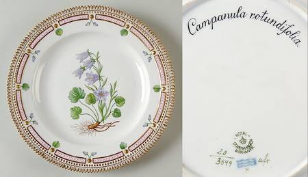 Flora Danica (1790 To 1960) Dinner Plate-Campanula rotundifolia