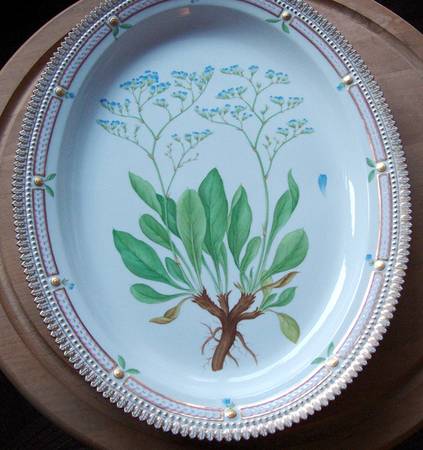 Flora Danica (1790 To 1960) 17" Oval Serving Platter-Halice Scanica Fries