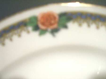 RDN199 Dinner Plate