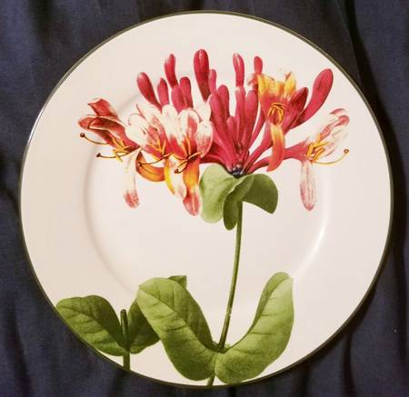 RNF73 Salad Plate