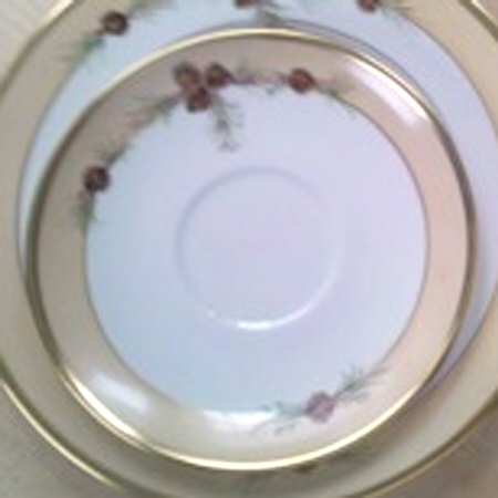 RAN5 Saucer