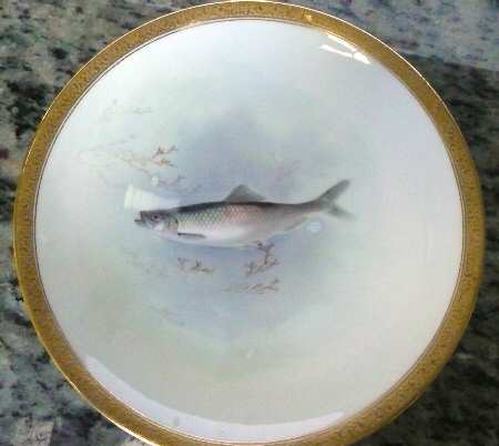 RA3881B by Royal Doulton
