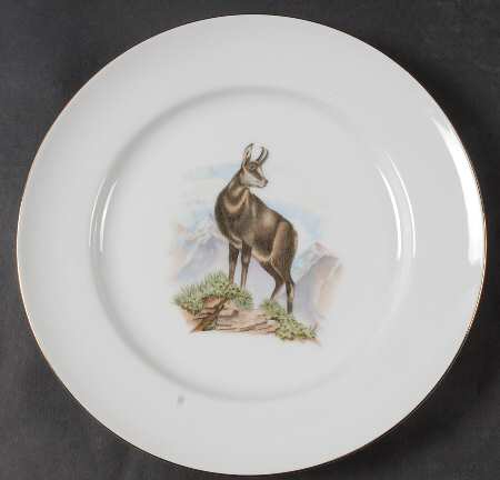 RBA44 Dinner Plate