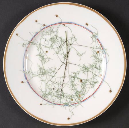 Nature White Salad Plate