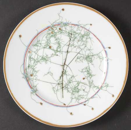 Nature White Dessert Luncheon Plate
