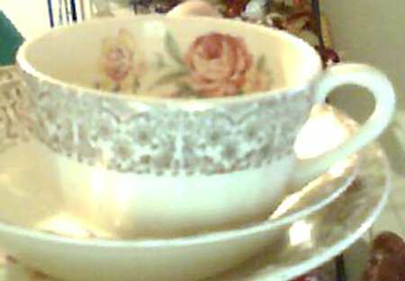 RYL361 Flat Cup