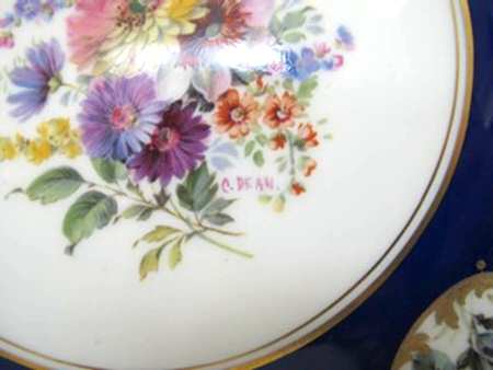 V450 Dinner Plate