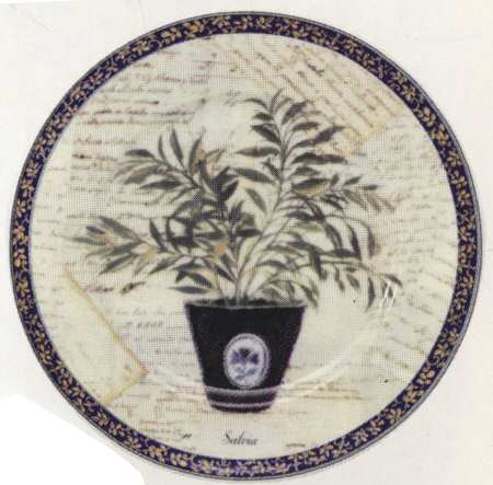 Aromatic Herbs Dessert/Pie Plate