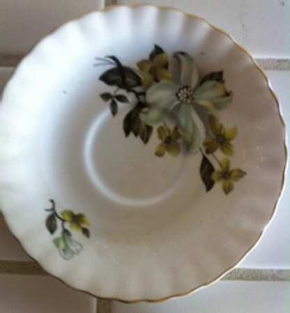 RIM23 Saucer
