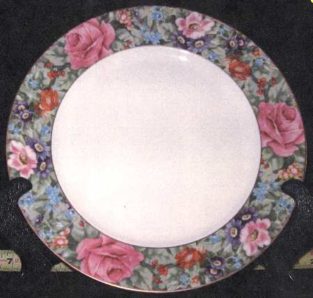5005 Dinner Plate