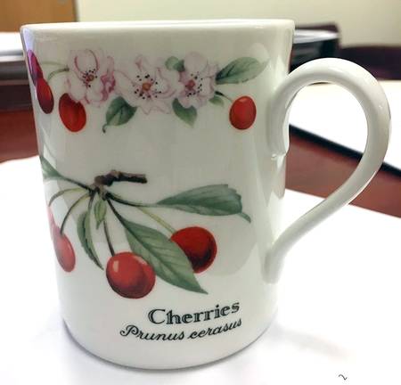 RW299 Mug