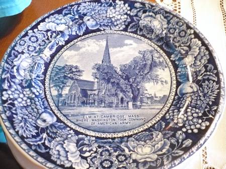 Elm at Cambridge by Rowland &amp; Marsellus