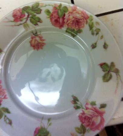 R1275 (No Trim) by Rosenthal - Continental