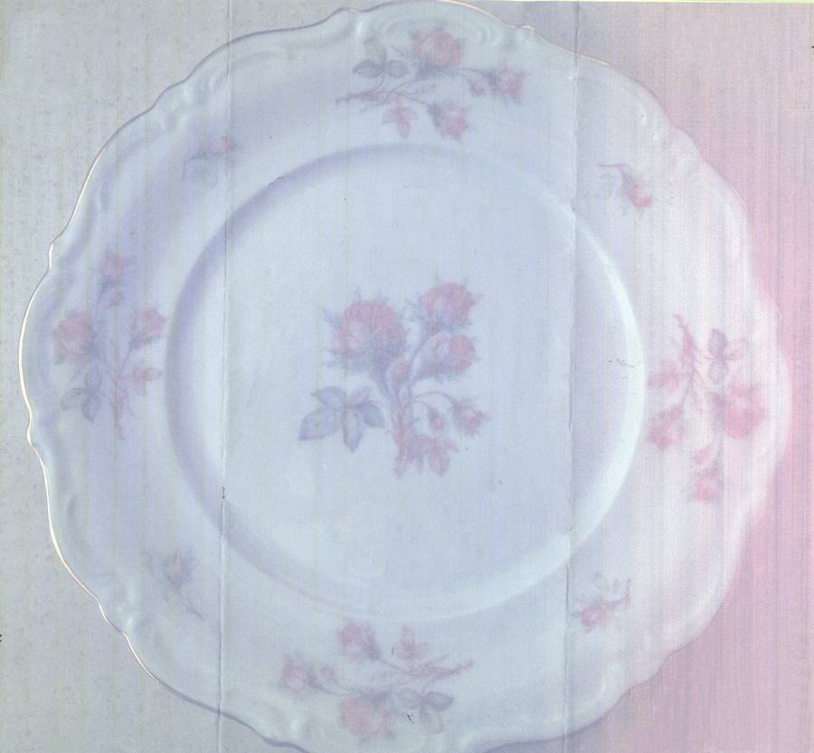 Moss Rose by Royal Heidelberg