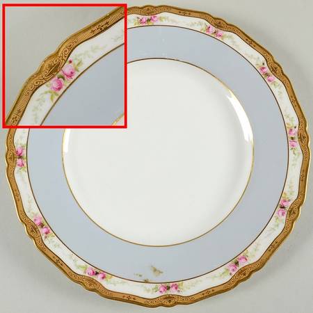 1423 Dinner Plate