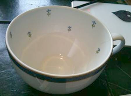 R6L27 by Royal Limoges