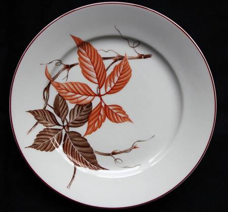 R3050 by Rosenthal - Continental