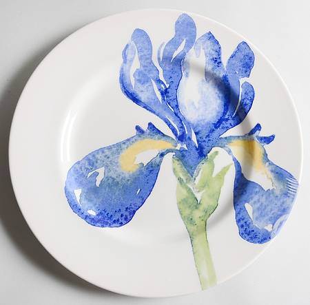 Blue Iris by Royal Stafford