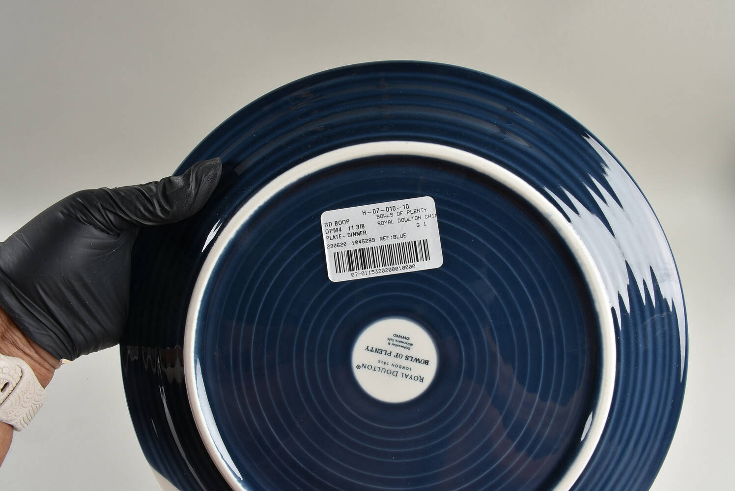 Bowls of Plenty Dinner Plate