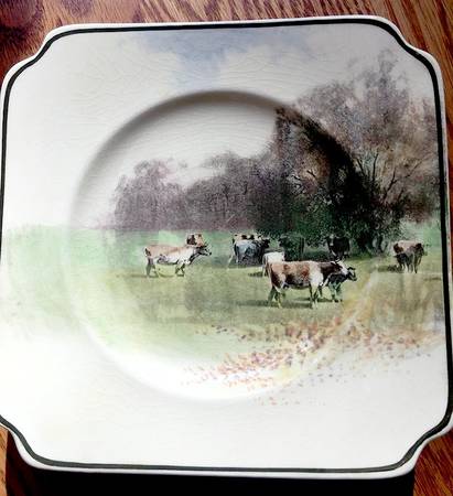 New Zealand Views A by Royal Doulton