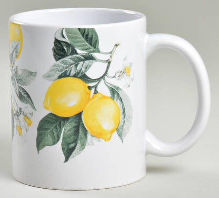 Lemon Mug