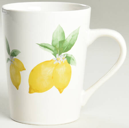 Lemon Mug