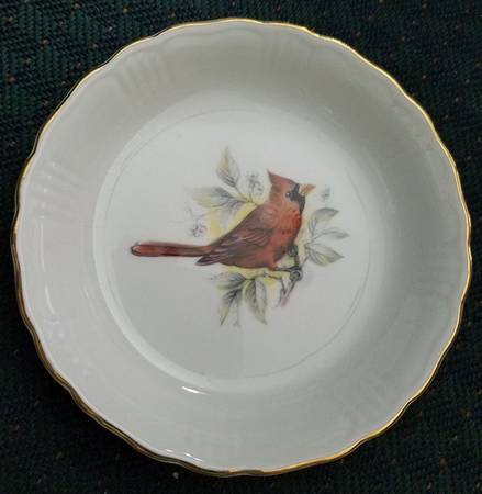 Birds of America by Rosina-Queens