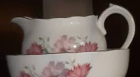 R494 Creamer