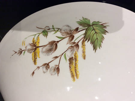 Pussy Willow by Ridgway (Ridgways)